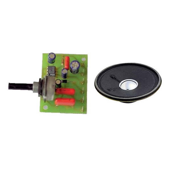 MODULO AMPLIFICADOR TELEFONICO (hasta finalizar existencias)