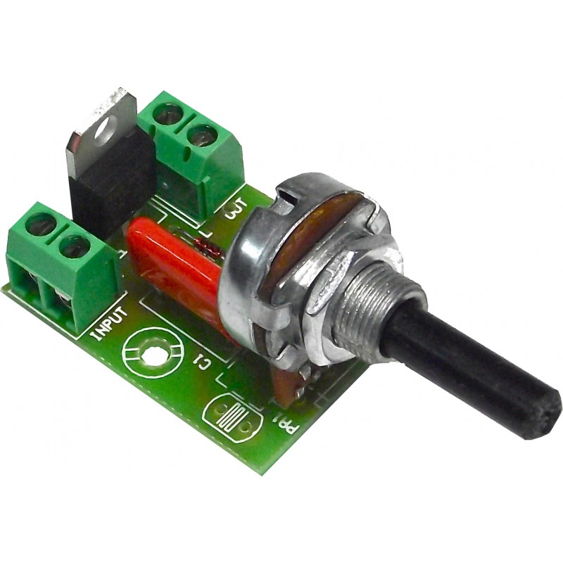 REGULADOR LUZ MINIATURA 250W