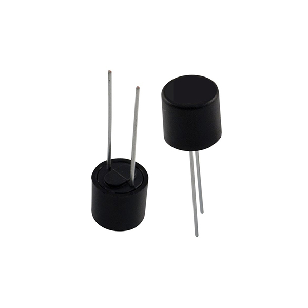 Fusible circuito impreso 5A rapido R5,08mm