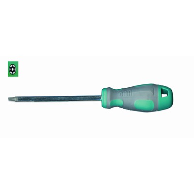 DESTORNILLADOR TORX T20 5X100 CROMO/VANADIO