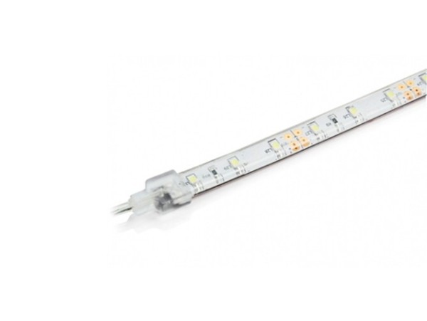 CINTA LEDs 5mts 60led/m 3528 BLANCO FRIO IP67